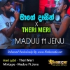 Mage Dasin x Hindi Song Mixtape - Maduu Ft Jenu