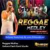 Reggae Medley - Sahara Flash Dark Studio