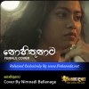 Nohithunata Cover By Nimnadi Bellanage
