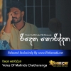 Ridena Noriddana Voice Of Malindu Chathuranga