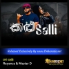 Kalu Salli - Reyance & Master D