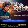 Pichcha Mal Pipi - Covered By Chathura Koorale