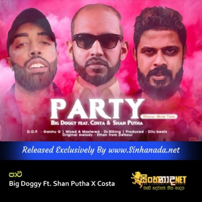 Party Big Doggy Ft. Shan Putha X Costa