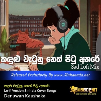 Kandulu Watunu Neth Pitu Athare Lo-fi Version Sinhala Cover Songs Denuwan Kaushaka