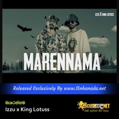 Marennama Izzu x King Lotuss