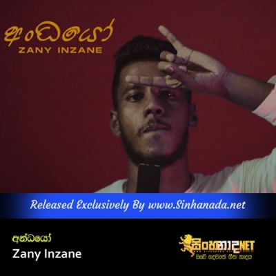 Andhayo Zany Inzane