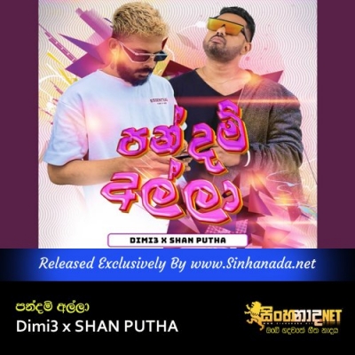 Pandam Alla  Dimi3 x SHAN PUTHA