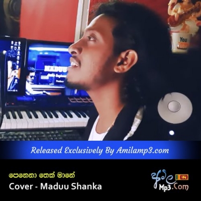 Penena Thek Mane Cover Maduu Shanka